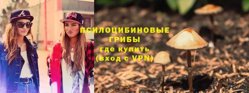 Галлюциногенные грибы Psilocybe  Биробиджан 